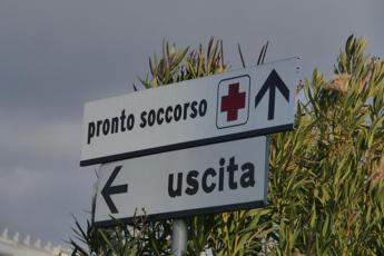 Giallo a Punta Pizzo, animale aggredisce turisti in una struttura ricettiva: 3 feriti, tra cui una bimba di 12 anni