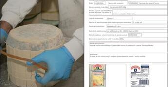 Gorgonzola richiamato dai supermercati per possibile Listeria: cosa sapere (e il lotto da evitare)