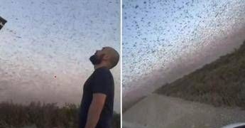 Invasione record di locuste, milioni di insetti oscurano il cielo. E il web grida alla ‘piaga biblica’