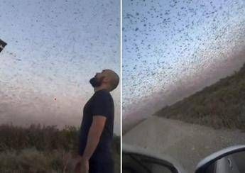 Invasione record di locuste, milioni di insetti oscurano il cielo. E il web grida alla ‘piaga biblica’