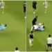Juventus, invasione di campo e intervento killer di un tifoso su Gatti