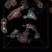 Mappata la struttura cosmica del Superammasso della Vela