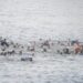 Migranti a Ceuta, Ue: “Solidali con la Spagna e cordoglio per le vittime”
