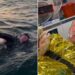 Nuota per 160 km dalla Svezia alla Polonia e attraversa il Mar Baltico in 56 ore
