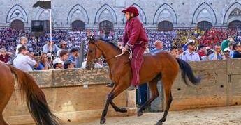 Palio Siena, la Contrada della Torre vince la quarta prova
