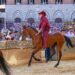 Palio Siena, la Contrada della Torre vince la quarta prova