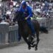 Palio Siena, notte tranquilla in ospedale per Tittia: condizioni in miglioramento