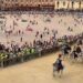 Palio di Siena, il Nicchio torna a vincere dopo 28 anni: Tittia firma il cappotto personale (con brivido finale)