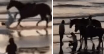 Paura per Belen, l’incidente con il cavallo: “Ho fatto una capriola tipo Dragon Ball”