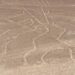 Perù, aereo con italiani a bordo sorvolava Linee di Nazca: cosa sono