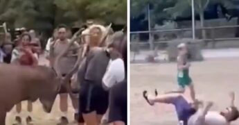 Prova a toccare un cervo e viene ‘caricato’: il video virale