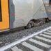 Roma, mucche su binari: treno deraglia vicino a stazione di Piana Bella a Montelibretti, nessun ferito