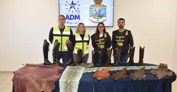 Scoperto traffico illegale accessori alta moda con pelli di specie animali protette