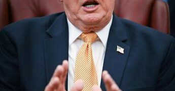 Trump: “L’erba è come gli esseri umani, ha una vita”