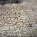 Clima, allarme Onu: “Terra in zona pericolo. El Niño sta assumendo proporzioni enormi”