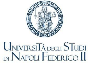 EU-GENIA Academy Napoli, Federico II e DXC Technology per corso gratuito in AI e dati