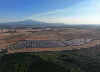 In Sicilia nasce il più grande impianto agrivoltaico d’Italia