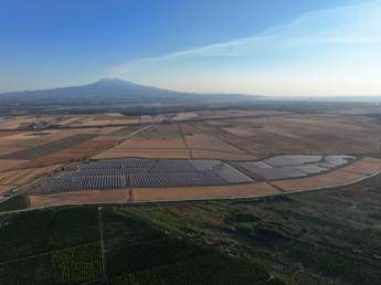 In Sicilia nasce il più grande impianto agrivoltaico d’Italia
