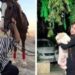 Iran, media: “Gemelle ventenni arrestate e picchiate, una condannata a morte”