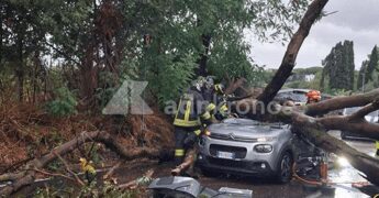 Maltempo a Roma, albero caduto sull’auto: chi paga i danni? La risposta degli esperti