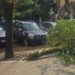 Maltempo a Roma, ramo cade fuori liceo a Coppedè: feriti 3 studenti