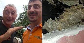 Pierluigi Diaco e Alessio Orsingher punti dalle vespe in casa, interviene il disinfestatore: “Nido enorme”