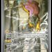Pokémon GCC Megaevoluzione – Dominio Delta, una carta in anteprima
