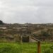 Pompei, si finge guida turistica e abusa di un 17enne in domus chiusa al pubblico: arrestato guardiano del Parco