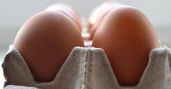 Salmonella sul guscio, richiamato anche lotto di uova Despar e Fattorie Natura Coop