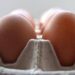 Salmonella sul guscio, richiamato anche lotto di uova Despar e Fattorie Natura Coop