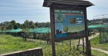 Torino, presunto abuso al parco dell’Arrivore: FdI chiede chiarimenti al Comune