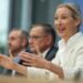 Ucraina, linea dura Afd: “Via gli ucraini dalla Germania, stop ai soldi per Kiev”