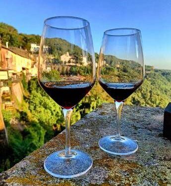 Vino: 11- 13 settembre a Nemi torna ‘Borgo diVino in tour’