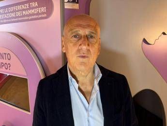 Farmaci, Agostiniani (Sip): “Contro Rsv nuova opportunità per pediatri”