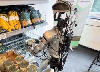 I robot lavorano al supermercato in Danimarca, gli umanoidi tra scaffali e casse
