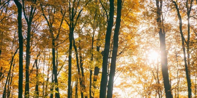 Il maltempo molla la presa, torna l’anticiclone e salgono le temperature: la tendenza dei prossimi giorni