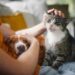 Legame persone-animali non è semplice convivenza, ecco l’effetto ‘pawsitivity’ che fa bene alla salute mentale