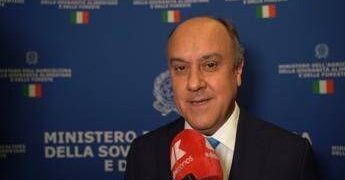 Made in Italy, Federdistribuzione Horeca: “Grande cambiamento distribuzione moderna in ultimi anni”
