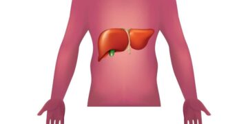 Malattie autoimmuni del fegato, nuova strategia con nanovettori in studio italiano
