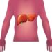 Malattie autoimmuni del fegato, nuova strategia con nanovettori in studio italiano