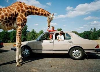 Martin Parr, l’ironia di guardare il mondo