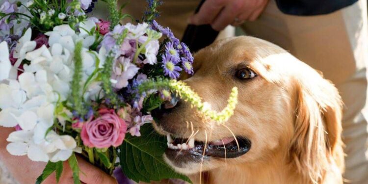 Romasposa, per le nozze sempre più richiesti sostenibilità personalizzazione e dettagli botanici per ritorno alla natura