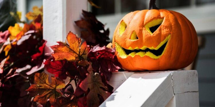 Zucca e semi di zucca: il lato sorprendente (e sano) di Halloween